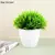 Plantas artificiais em vaso, bonsai verde, árvore pequena, plantas de grama, or - Skynz