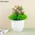 Plantas artificiais em vaso, bonsai verde, árvore pequena, plantas de grama, or na internet