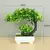 Plantas artificiais em vaso, bonsai verde, árvore pequena, plantas de grama, or - loja online