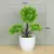 Plantas artificiais em vaso, bonsai verde, árvore pequena, plantas de grama, or - Skynz