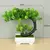 Plantas artificiais em vaso, bonsai verde, árvore pequena, plantas de grama, or na internet