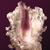 Perfumes Luna (vários aromas) na internet