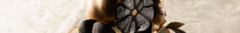 Banner de la categoría Ajo Negro