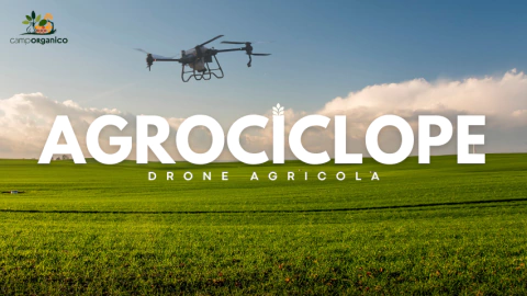 Video de CAMPORGÁNICO