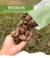 Banner de ZecPet | A loja online do seu Pet 