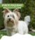 Banner de ZecPet | A loja online do seu Pet 