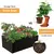 Saco de Cultivo Jardim de tecido - comprar online