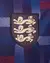 Camisa Inglaterra 24/25 pré-jogo roxa - versão torcedor - loja online