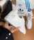 Zapatilla Ad. Samba OG. (08ADSOGTA25H) - comprar online