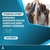 Diplomatura Superior en Infancias y Adolescencias desde una Perspectiva de Género, Derechos y Autocuidado - comprar online
