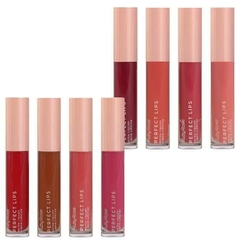 Batom Líquido Perfect Lips Ruby Rose Linha Rosa G1 - comprar online