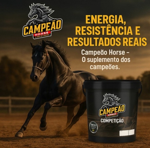 Carrossel 1