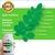 Kit 3 Moringa capsulas , 360 caps./ Kit leve 3 pague 2 - loja online