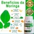 combo Brutão -Moringa + Feno Grego + Ashwagandha + Maca Peruana Negra + Tribulus Terrestris transforme seu corpo na internet