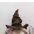 Chapeu Seletor Harry Potter na internet