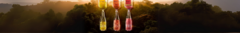 Banner de la categoría Ekos