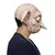 Imagen de Máscara Dobby