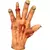 Zombie Rotted Hands en internet