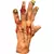 Zombie Rotted Hands - comprar en línea