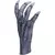 Manos De Kurten Claws en internet