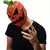 Máscara De Jack O' Lantern Jr. en internet