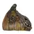 Imagen de Rotten Pumpkin 4