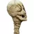 Staffs Alien - comprar en línea