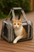 Mochila Bolha BePet – Transporte Confortável e Estiloso para seu Pet - BePet 