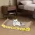 LoungeScratch BePet – Cama Arranhador de Papelão Premium para Gatos - BePet 
