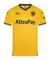 Camisa Wolverhampton Home 23/24 s/n° Torcedor Castore Masculina - Amarela