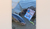 Imagen del carrusel Fast Fishing Chile