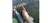 Imagen del carrusel Fast Fishing Chile