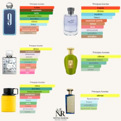 Combo 6 Decants Masculinos | Dias Quentes! - comprar online