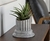Pilar Griego Pot