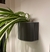 Wall Planter