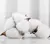 Kit de Toalhas de Algodão Branco Premium – Conforto, Absorção e Estilo na internet