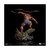 Beast-Man - 1/10 BDS Art Scale - Masters of the Universe - Estrela232351@