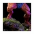 Beast-Man - 1/10 BDS Art Scale - Masters of the Universe