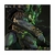 Skeletor Unleashed Deluxe - 1/10 Art Scale - Masters of the Universe na internet