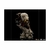 Monkian - 1/10 Art Scale - Thundercats - comprar online