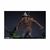 Scarecrow (Collector Edition) - Maquette - DC Comics - Tweeterhead - loja online