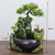 Plugue da ue, simulação interna resina ornamental paisagem aquática feng shui - loja online