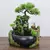 Plugue da ue, simulação interna resina ornamental paisagem aquática feng shui - Magazine Store