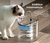 PetFlow™ | Bebedero Inteligente para tu mascota en internet