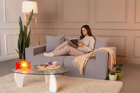 Sofá en Caja Topo Zen Sillón Dos Cuerpos Moderno - comprar online