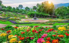 Banner de la categoría Jardin