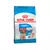 ROYAL CANIN CACHORRO MEDIANO