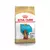 ROYAL CANIN CACHORRO DACHSUND