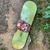 Shape plan b 8.25 - maple