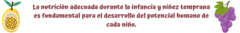 Banner de la categoría Guías educativo-nutricionales para padres y cuidadores.